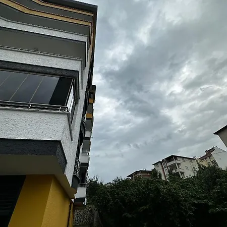 Pelitli Hamsikoy Trabzon